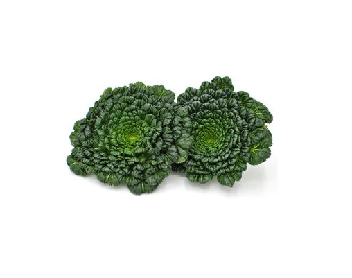 塌菜的种植方法和水肥采收事项详解