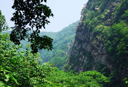 天津6大森林公園,想要探尋大自然的美嗎? 九龍山國家森林公園