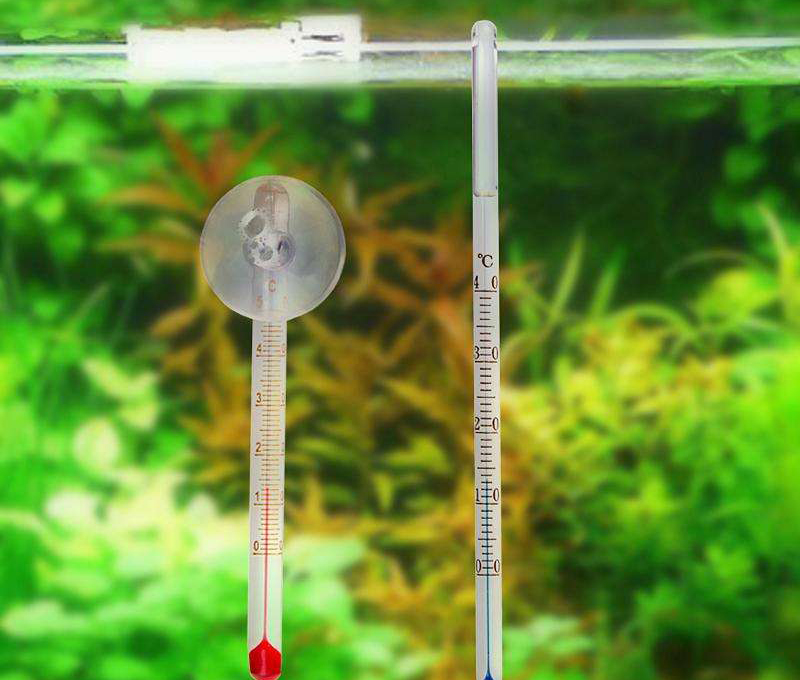 养鱼小窍门:如何判断自家鱼缸温度计是否准确?