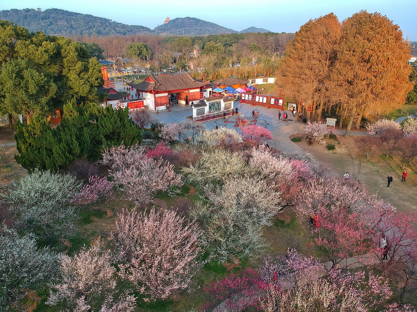 无锡市梅园横山风景区,一处融自然景观,人文古迹,名花异卉,园林建筑及