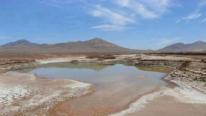 [图]500年没下雨的地方，突降3场大雨，生物反被灭绝，科学家却笑了！