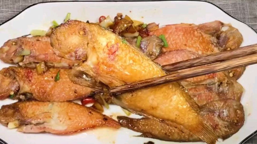 来个简单又容易学的鹦哥鱼