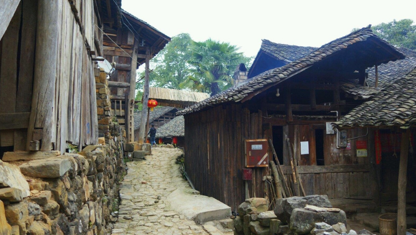 旅游:南龙古寨一日游,村寨内有360多棵古榕树