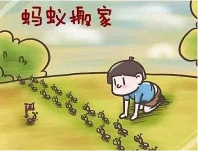 童年趣事-还记得蚂蚁搬家吗?