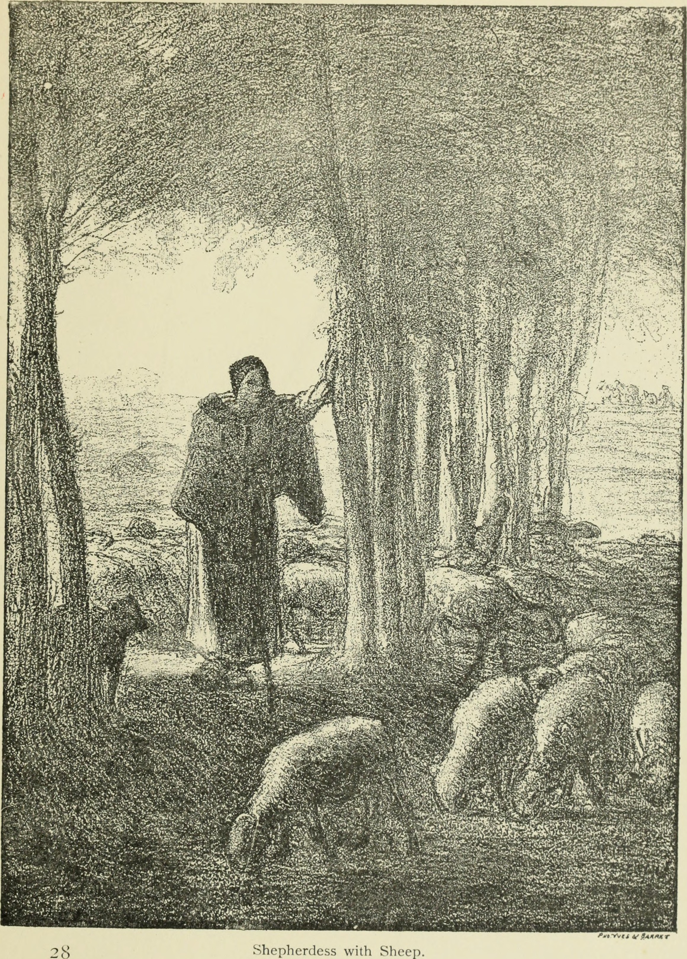 米勒的许多最好的作品都体现在对农民和乡村妇女的研究上.