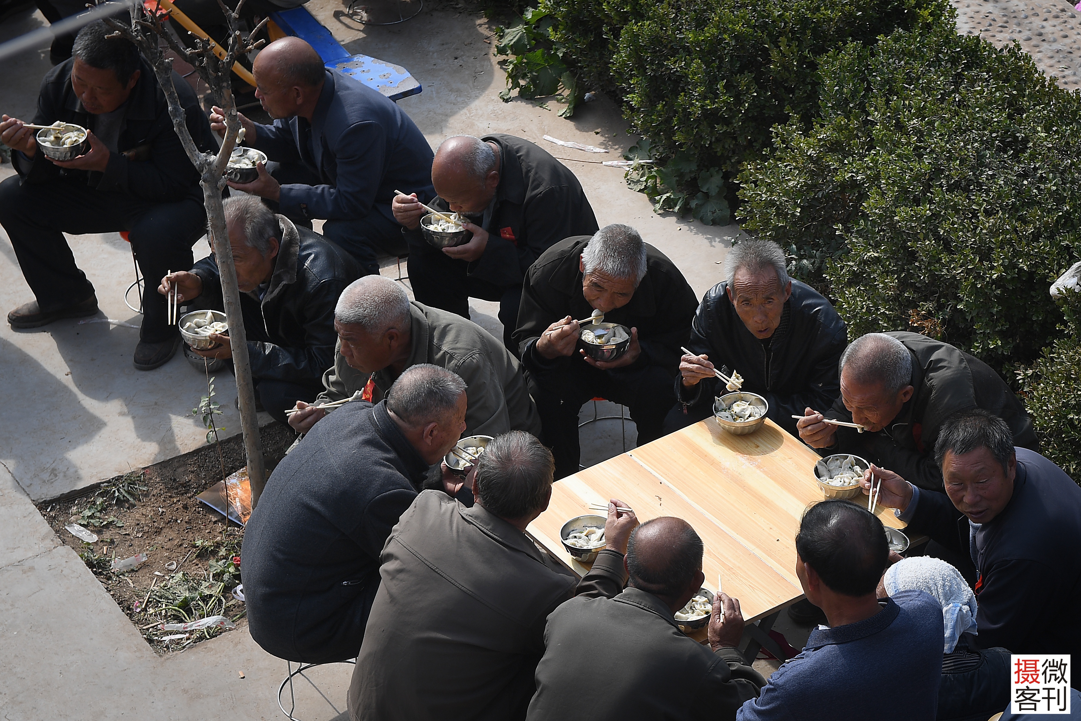 河南小村庄办免费饺子宴 近千名老人吃嗨了