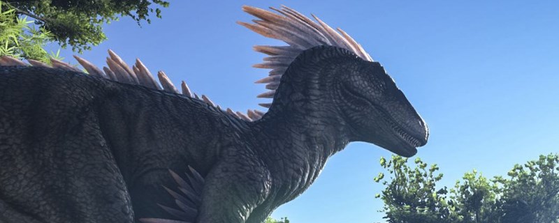 翼龙鞍多少级解锁