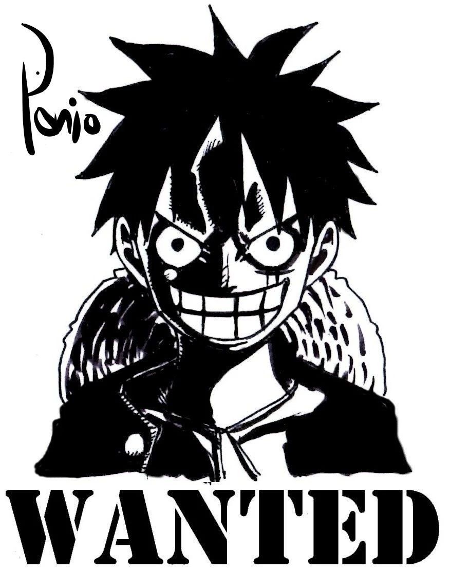 海贼王:二十一位角色黑白悬赏令,路飞他们又不带甚平玩了