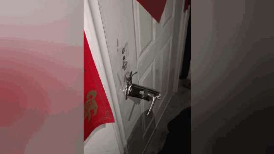 阿拉在屋里把门反锁,主人锁在外面被气炸,主人:狗肉怎么做好吃