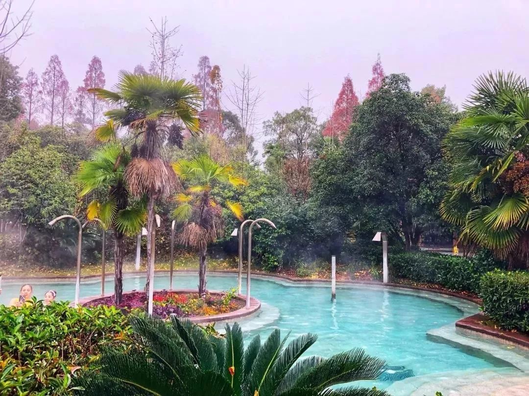 优秀!应城汤池镇入选省级旅游示范区,全省仅4地