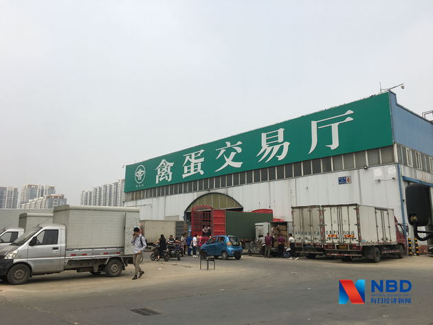 鸡蛋价格两个多月涨逾六成,超市最高卖到10元/斤