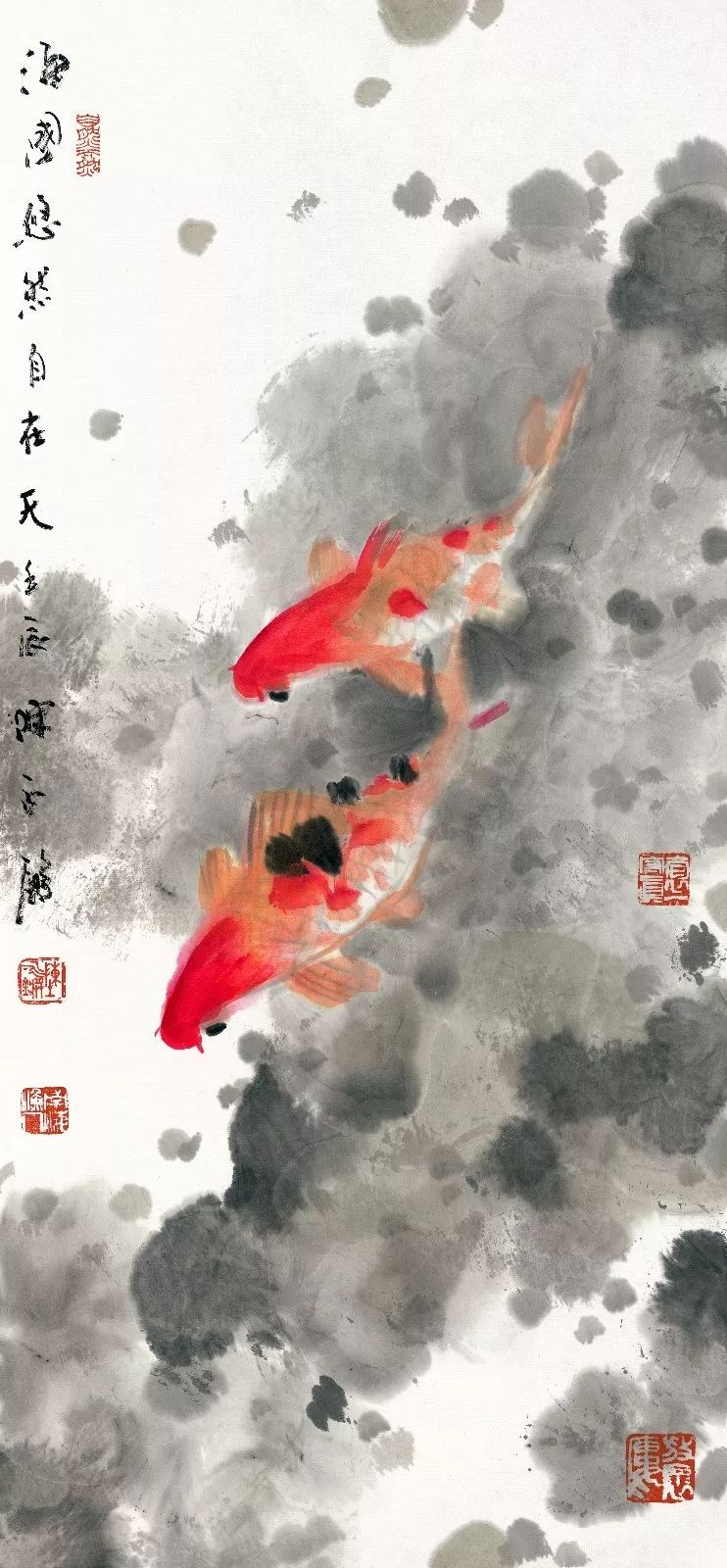 锦鲤,有着"年年有余"鱼跃龙门"的美意 在刚刚过去的2018年里 它在