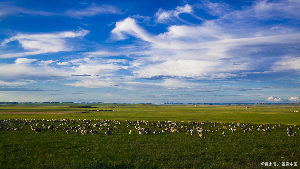 内蒙古锡林郭勒盟大草原:草原与河流的和谐共生
