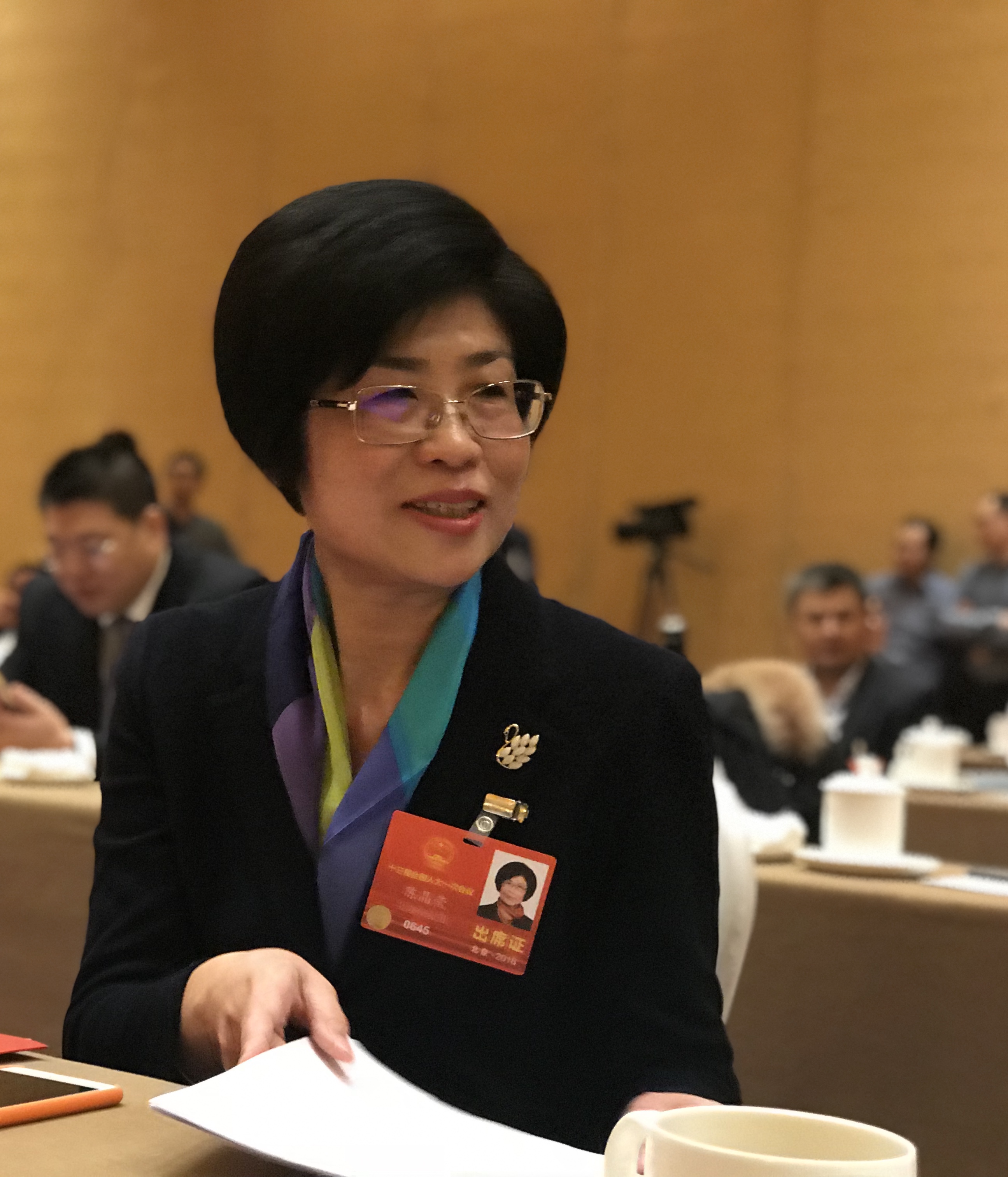 陈晶莹代表:现有法律规定及司法解释难以充分打击地下钱庄