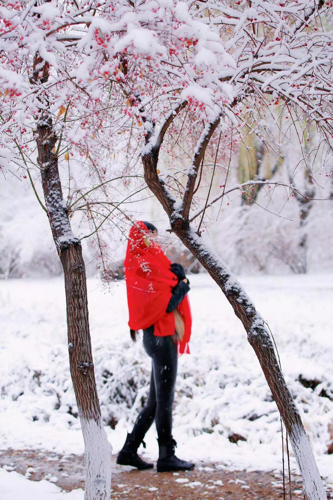 雪景美人更美图片