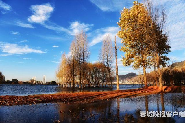 据介绍,月牙湖公园是云南省目前发现的距城市最近,面积最大的一块湿地