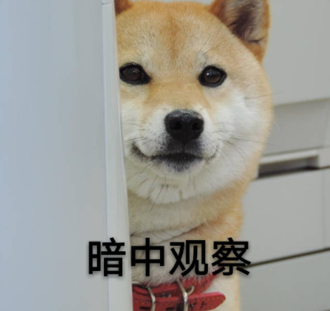 2018年那些沙雕狗子们,我的日常快乐源泉,承包网友一年的笑点