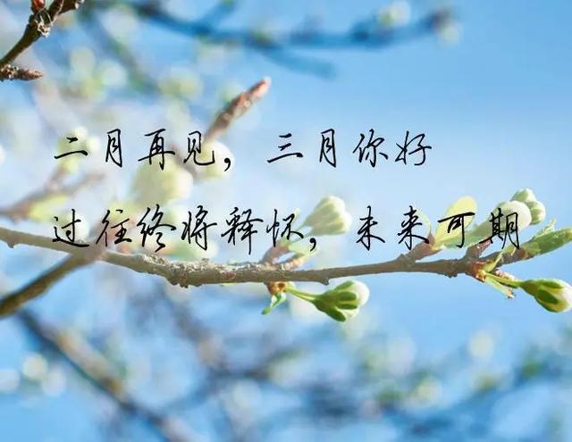 二月再见,三月你好:待花开时,愿你安好,我无恙