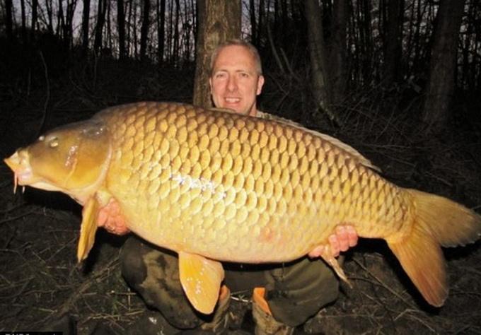 "八鱼联军"入侵美国,军队都无法解决,国人:关键得靠中国厨师