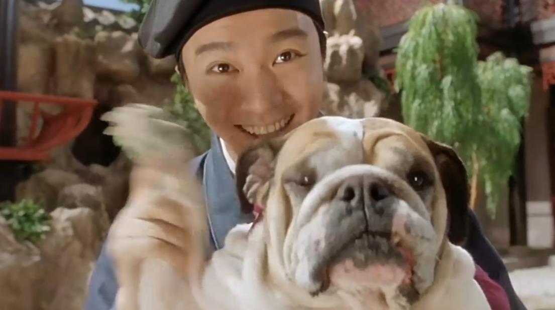 唐伯虎点秋香|旺财的死是怎么拍的?真的把狗弄死了么?那么像