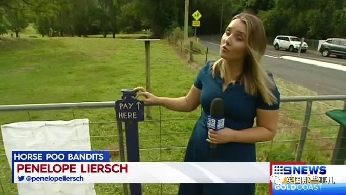 小男孩努力铲马粪攒钱买电脑…没想到居然连屎都有人偷