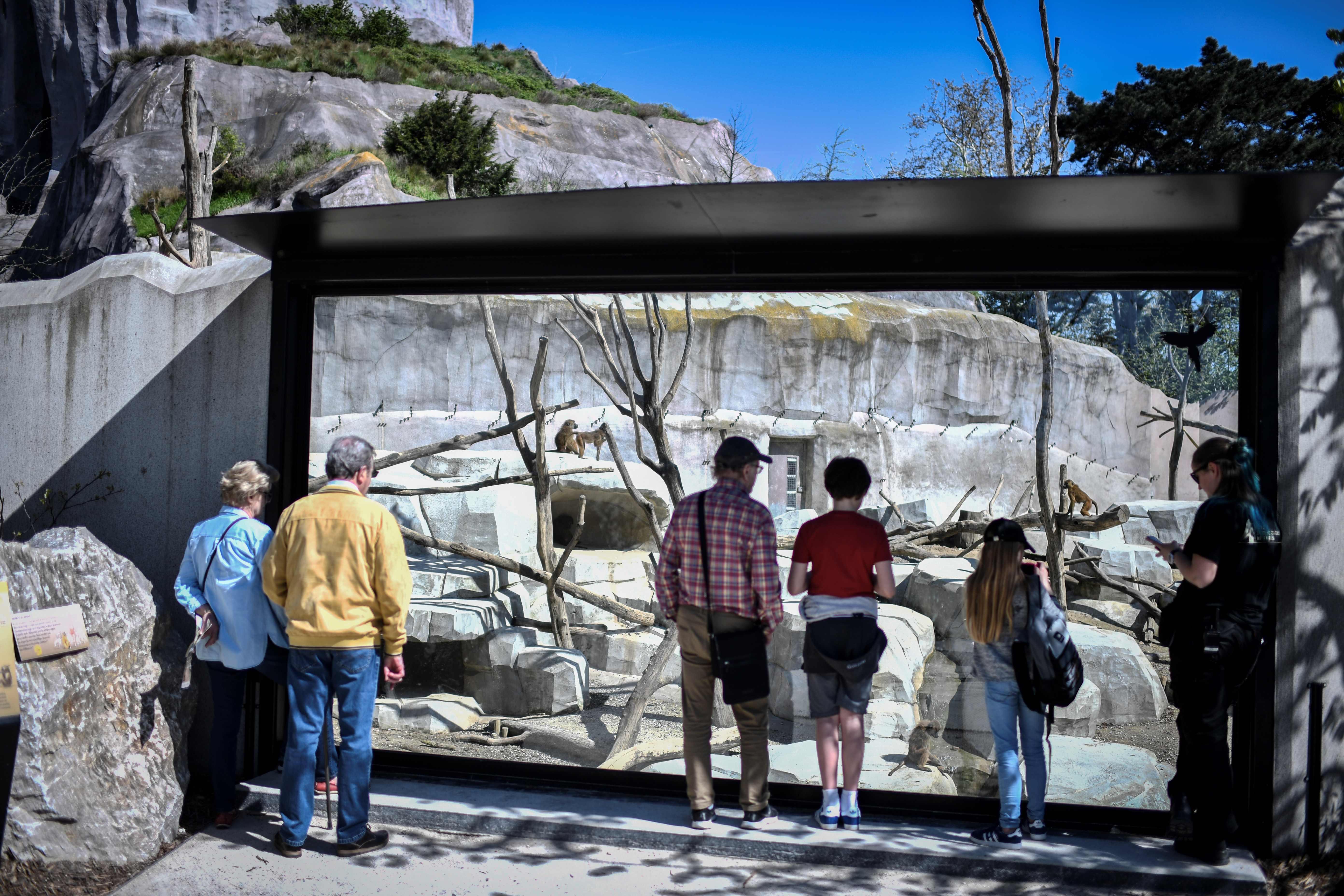 巴黎万塞讷动物园(18)