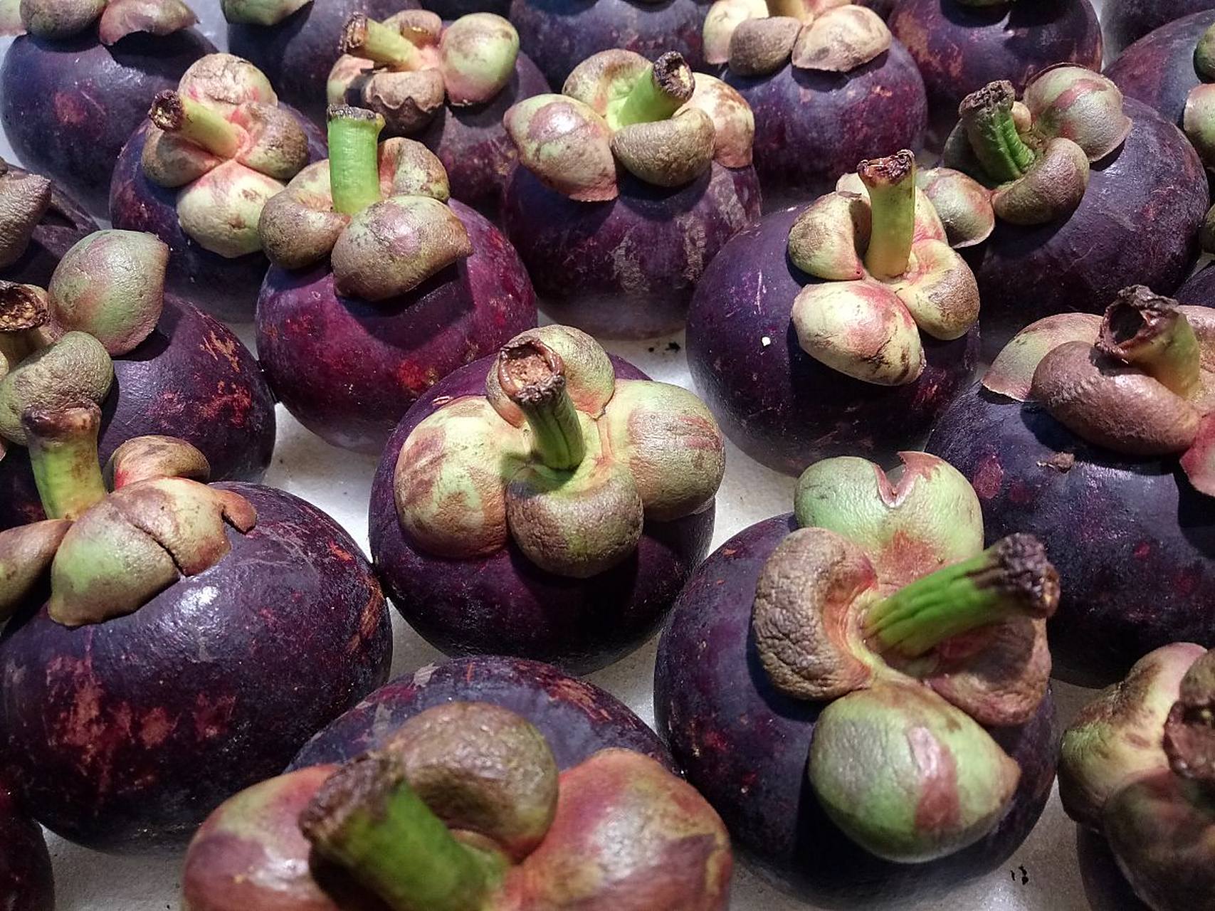 莽吉柿(学名:garcinia mangostana l.