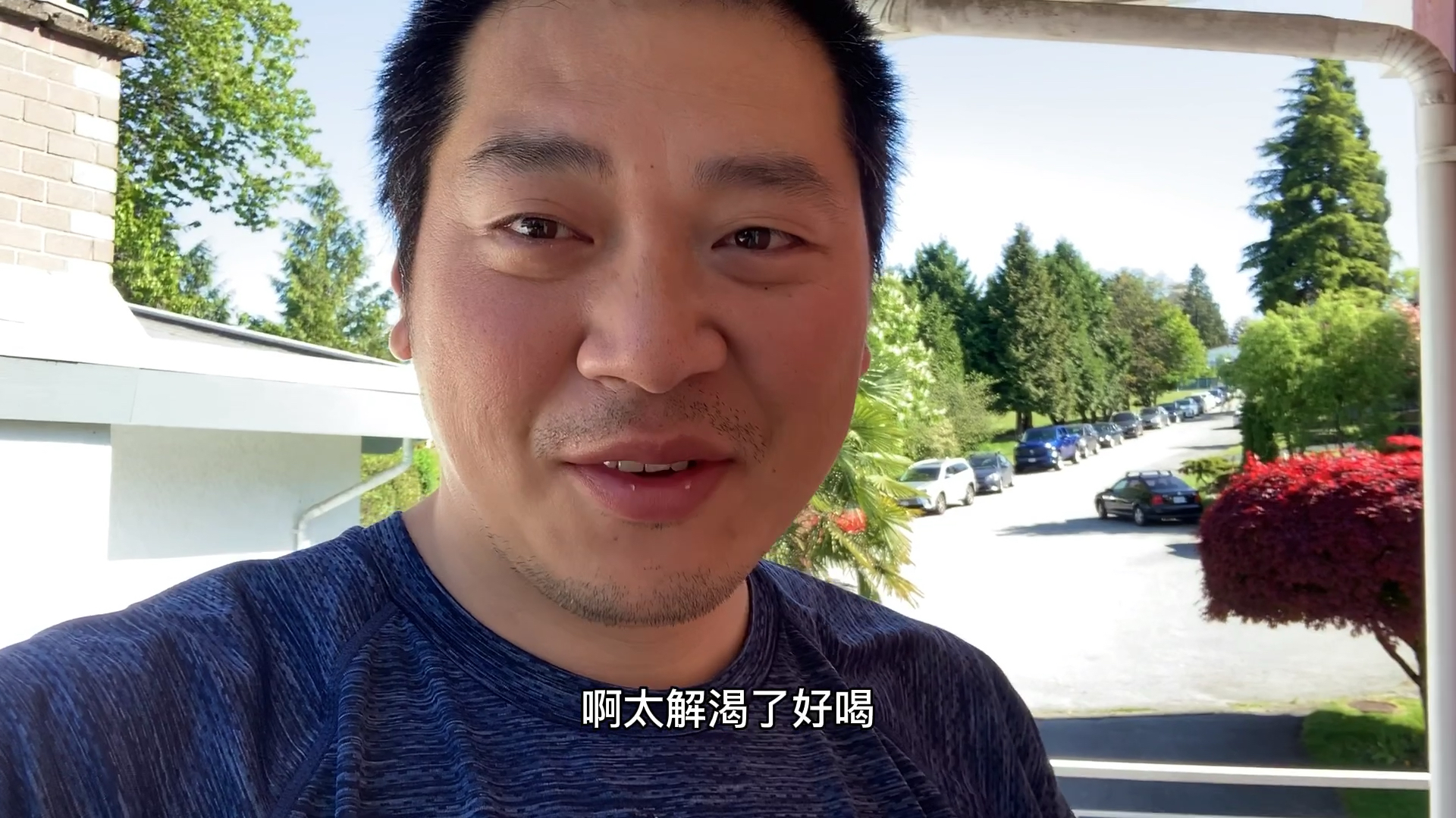 夏日炎炎门口公园比基尼派对,做一份夏日标配饮品冰红茶解解渴