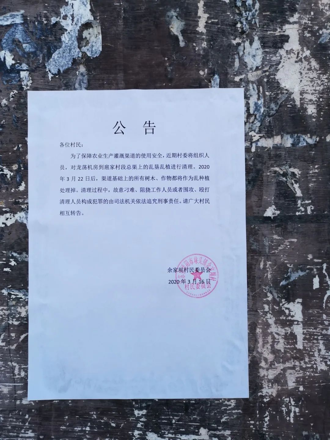 对乱垦乱种说“不”,溧阳村庄总渠焕新颜! 对乱垦乱种说“不”,溧阳村庄总渠焕新颜!