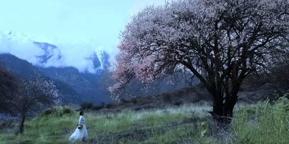 努力烹调一碗蛋黄酱,李子柒活出精彩,传承北川闲适时光