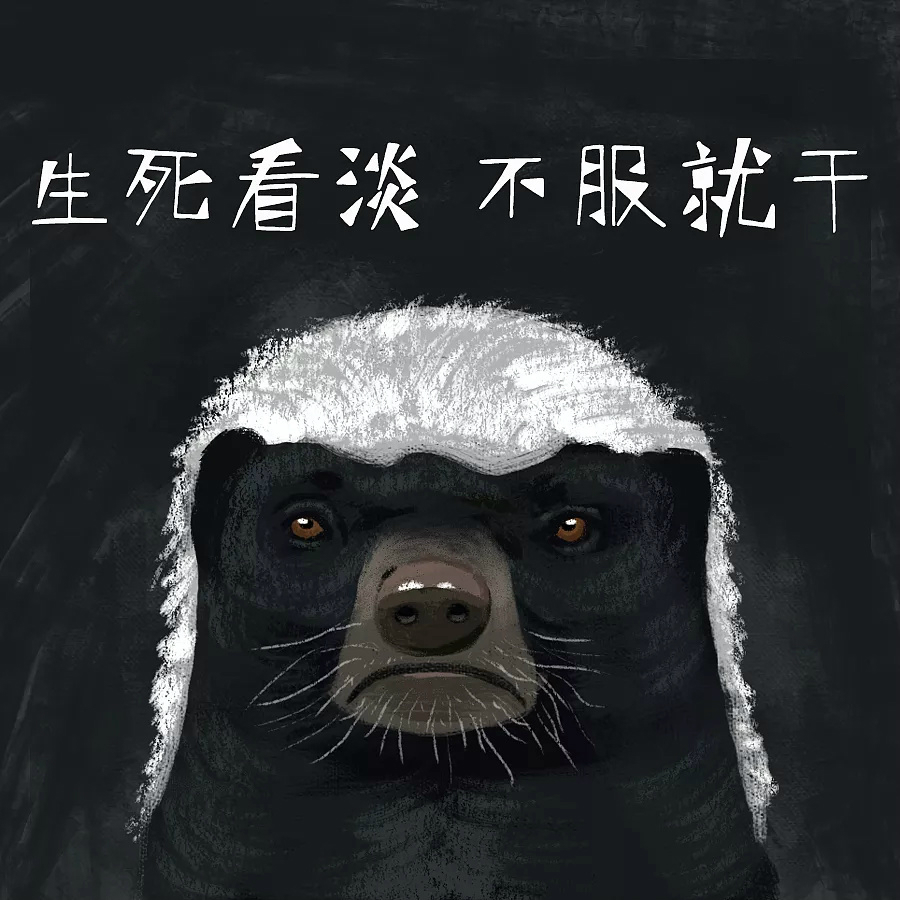 平头哥杀过鳄鱼表情包.