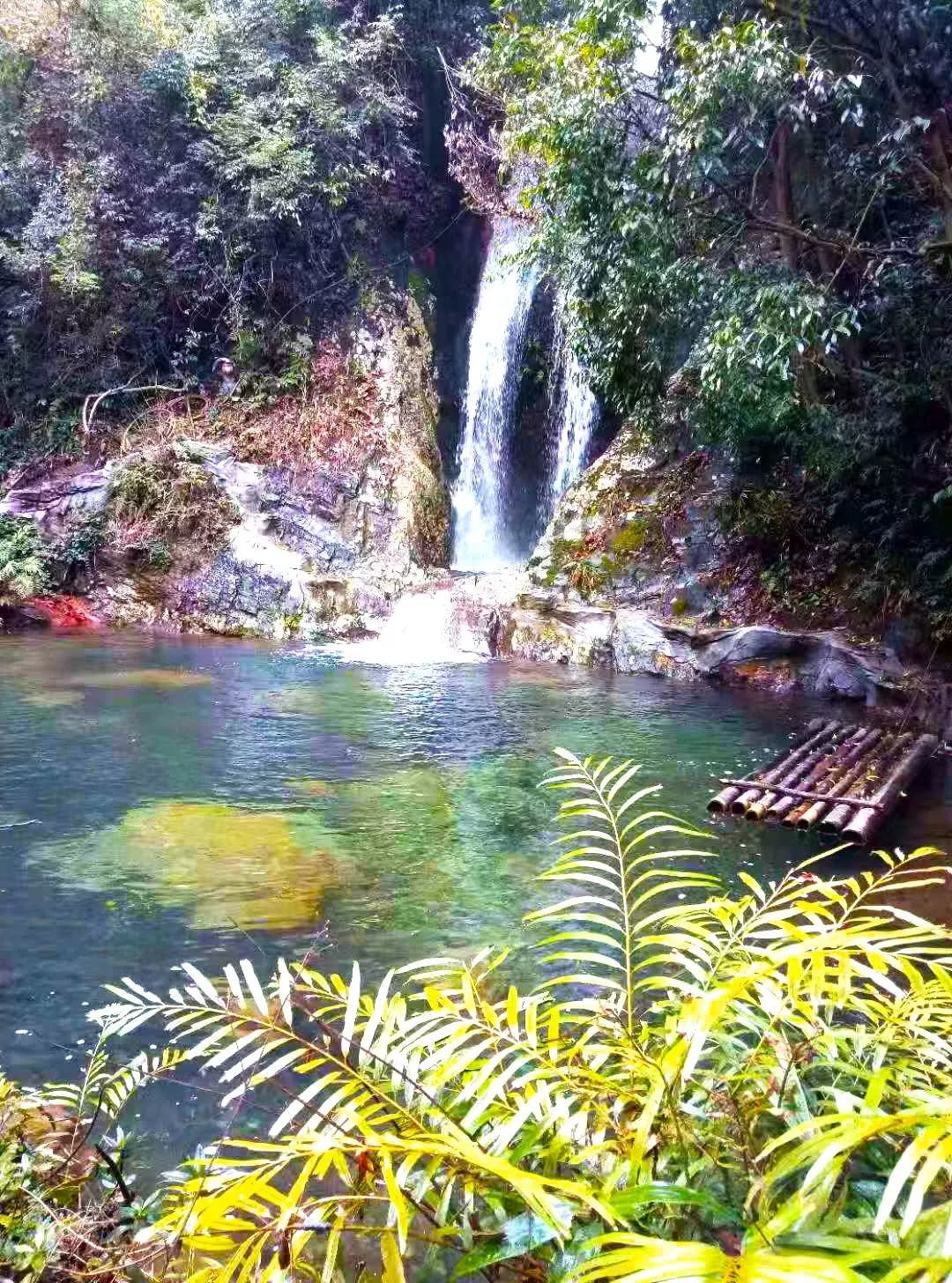 穿巖山森林公園 · 兒童森林樂園