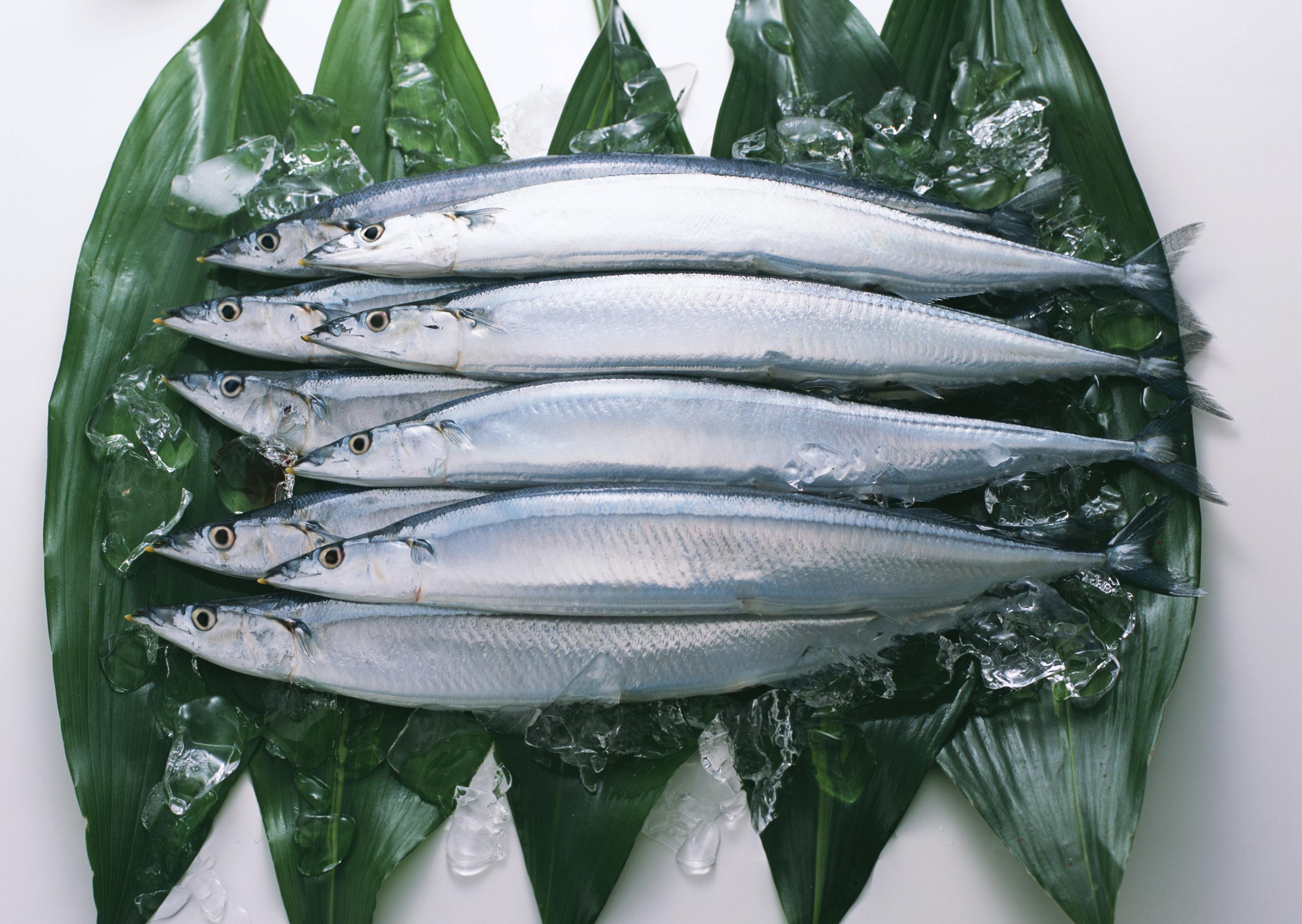 炸带鱼时用的是面粉还是生粉?今天终于知道了!