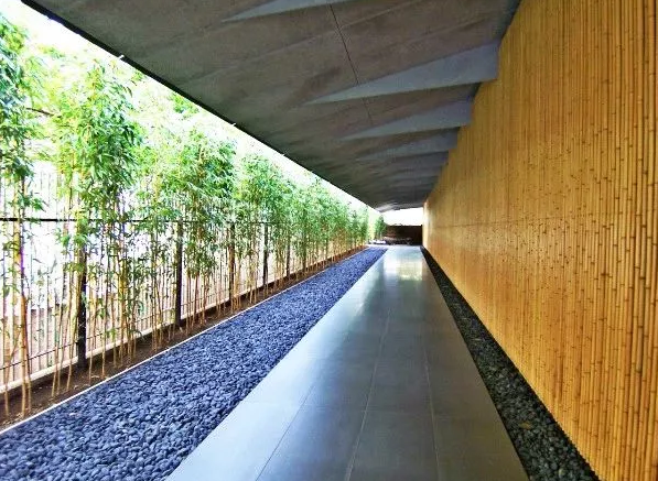 走进"日本美学",是一种"视觉盛宴"?