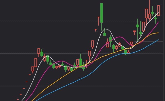 金蛤蟆 股票图片