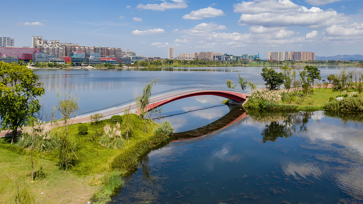 考前急救复习法# 逆水行舟,不进则退:教育的不断