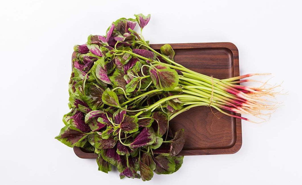 苋菜- 热门商品专区