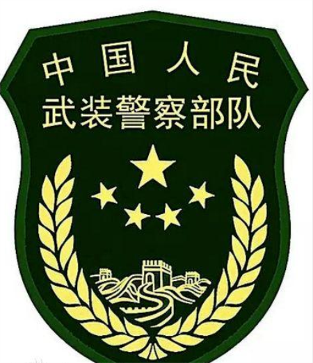 武警标志logo图片