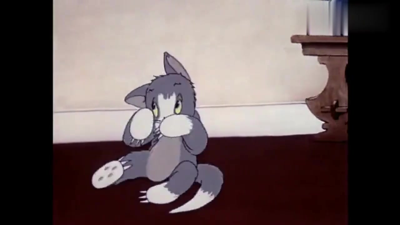 动漫壁纸:汤姆打坏了东西,被主人警告再做错事就把它赶出去