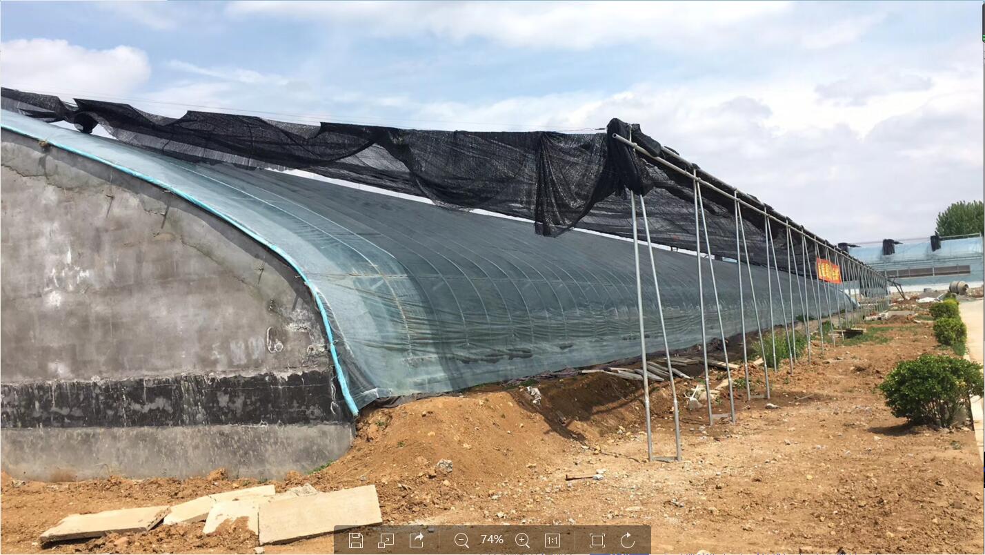 大棚蔬菜种植遮阳网一般用多少针的?