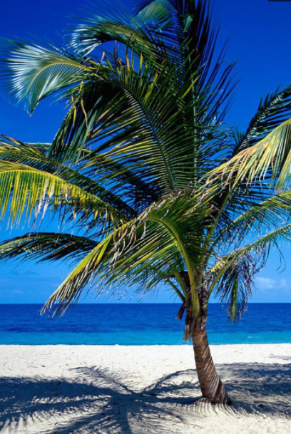 408_609竖版 竖屏