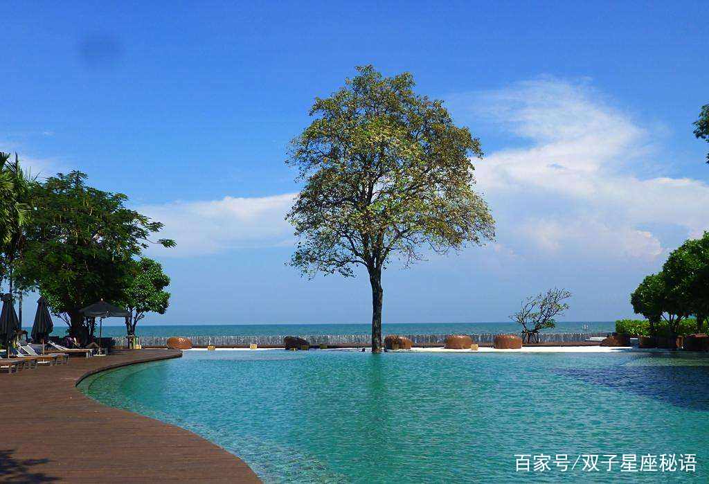 旅行的过程中心情特别愉快的简单介绍