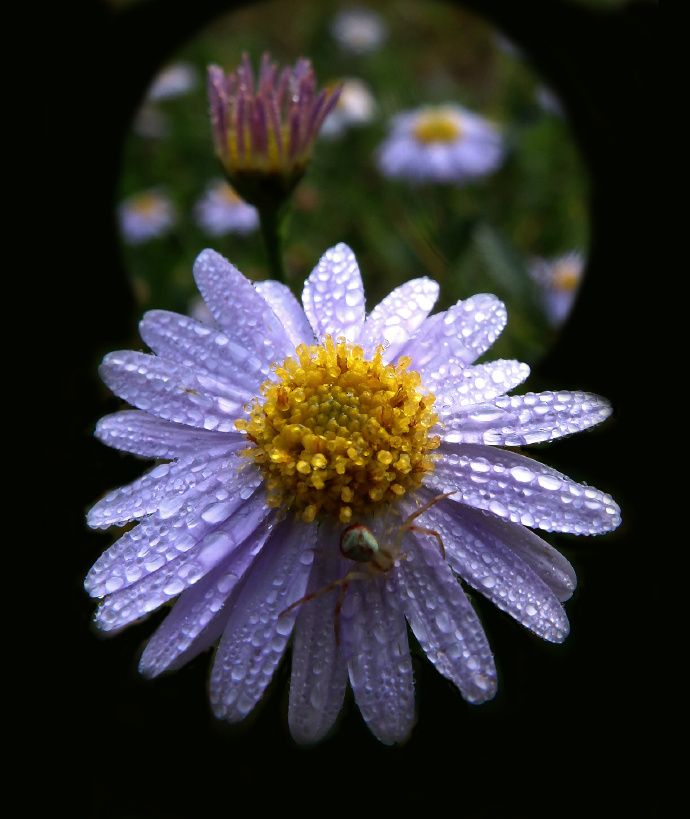 任延波:人生最美时光