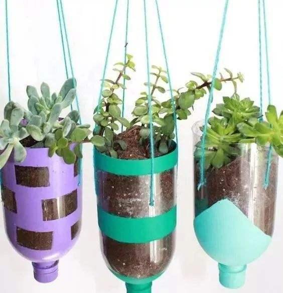 塑料瓶利用起来养多肉,用这3种方法,变成养花神器真不错