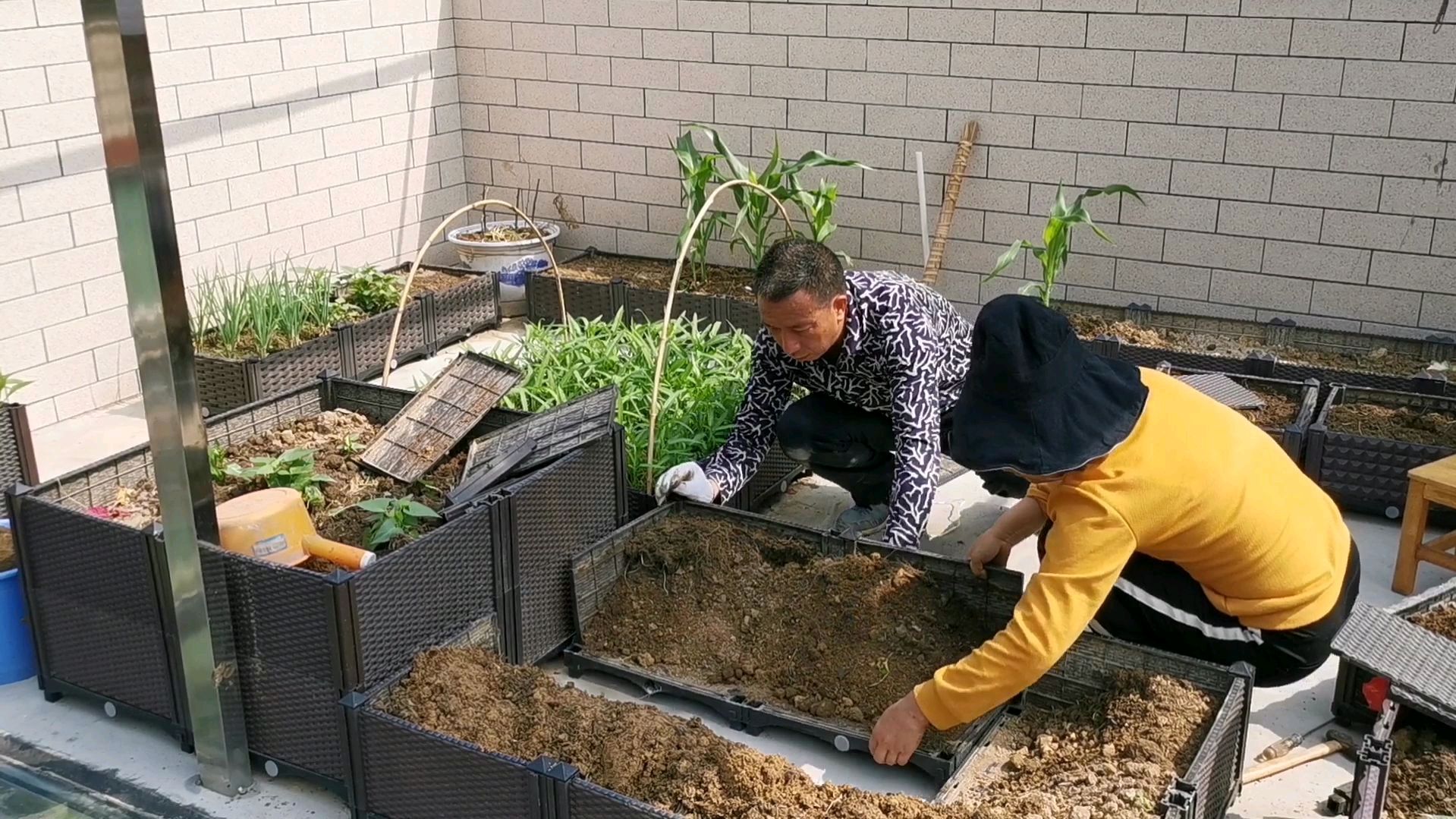 农妇在自家楼顶,用种植筐自由组合种空心菜,简单又实用