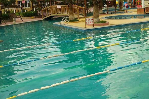 公共泳池里的水有多脏?为了健康,游泳时两件事要做