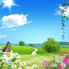 最近这个小品火了:文松打牌称看别人玩对对碰