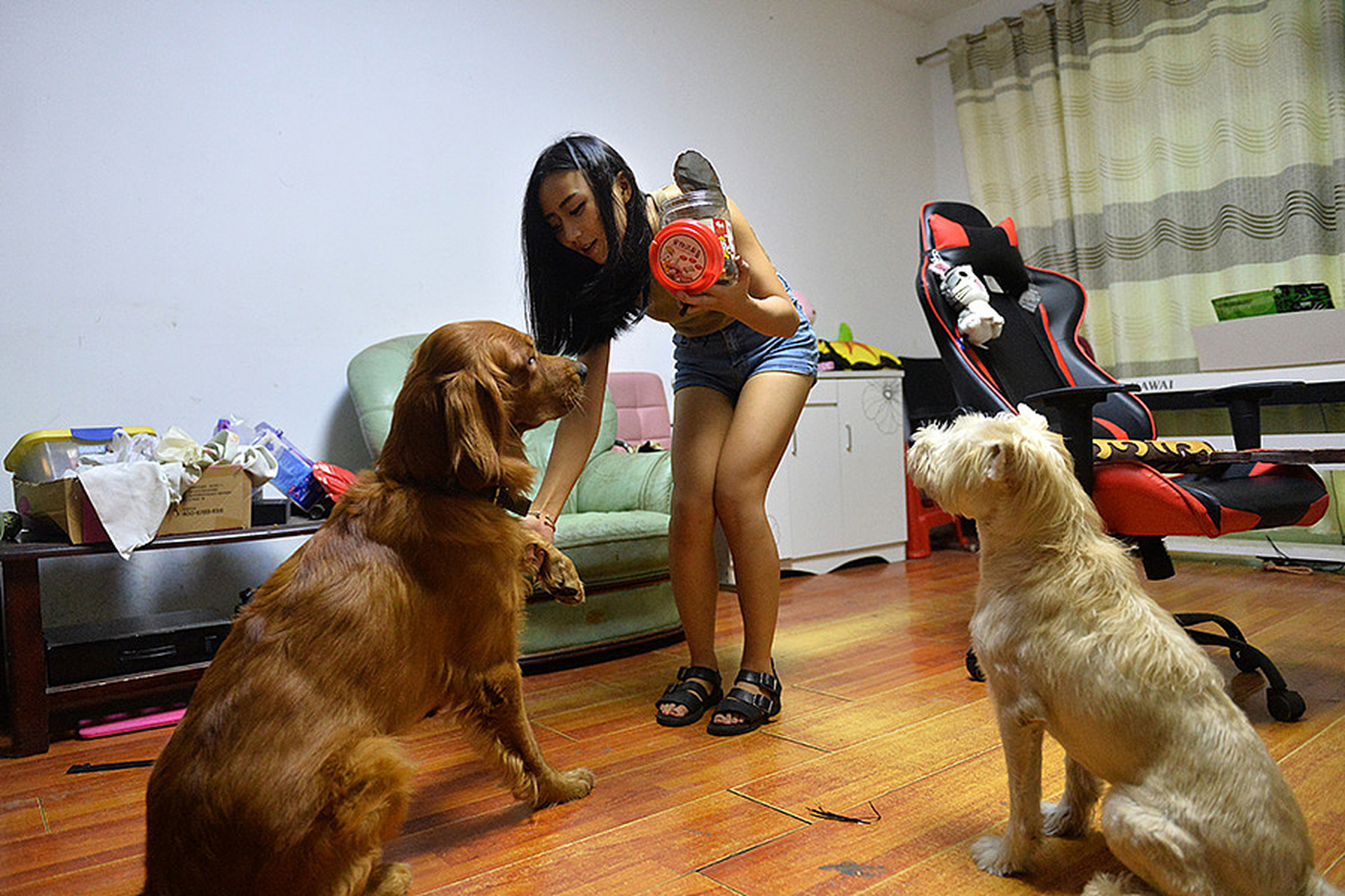 于是就决定把多余的奶水喂给狗喝,避免浪费.