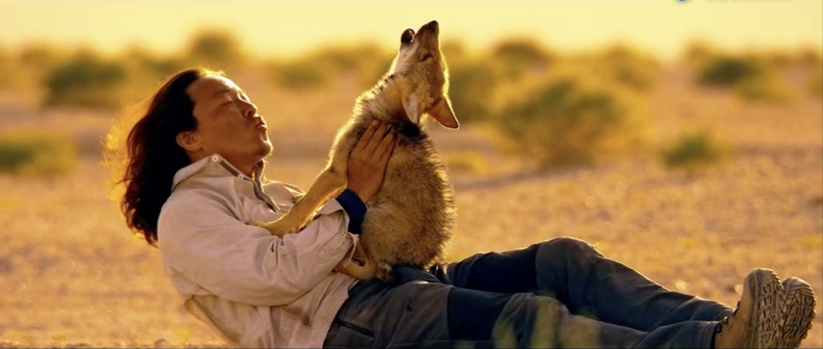 看《七十七天》,告诉我们生活充满挑战,到最后其实是挑战自己