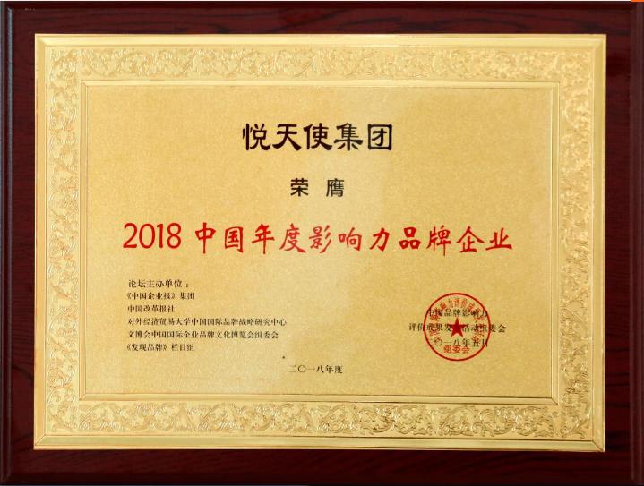 悦天使集团独得的三项大奖